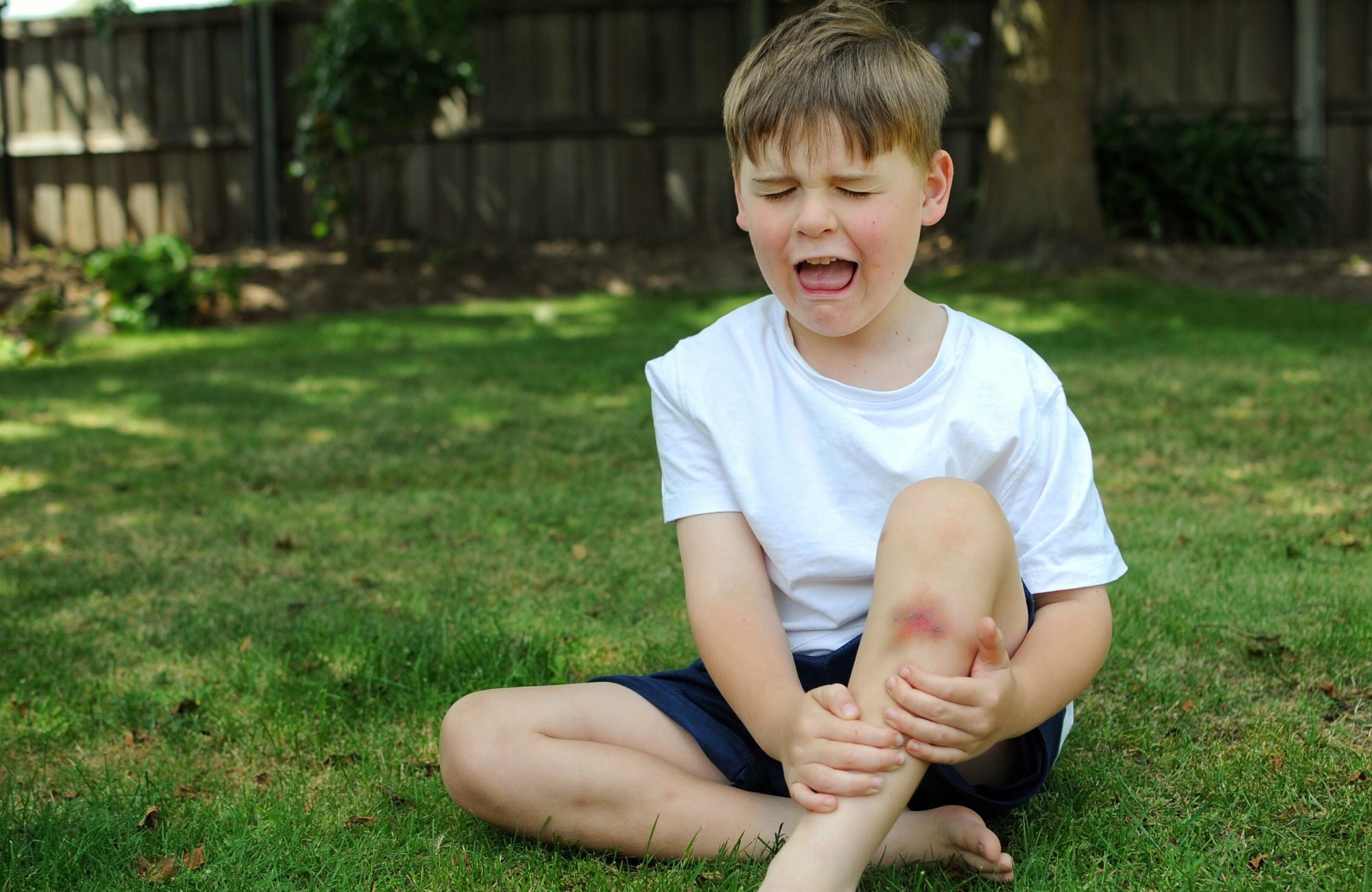 Understanding Self-Injurious Behavior Autism Causes and Solutions